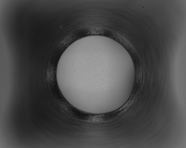 X0000100190078200806201303