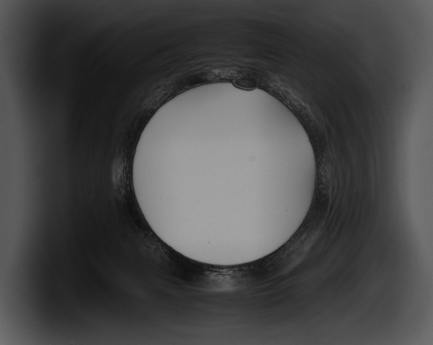 X0000100190079200806201303