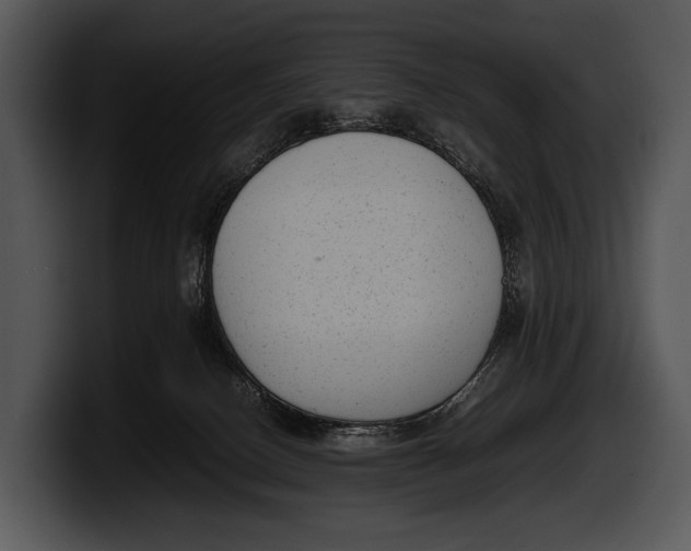 X0000100190082200806201303