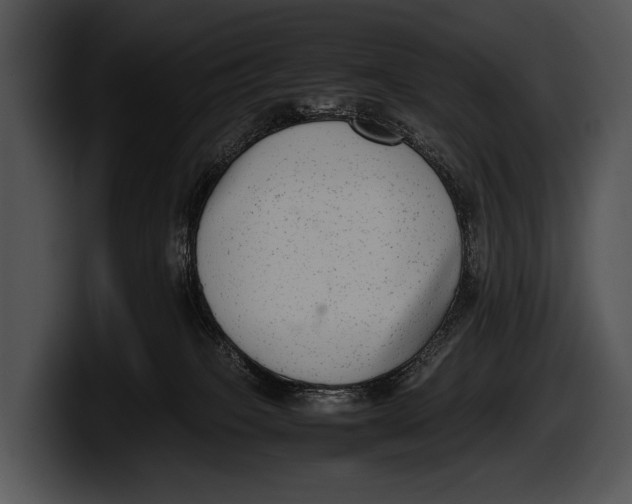X0000100190085200806201303