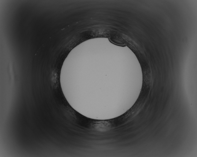 X0000100190087200806201303