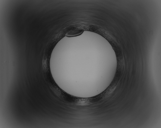 X0000100190088200806201303
