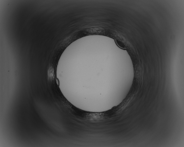 X0000100190089200806201303