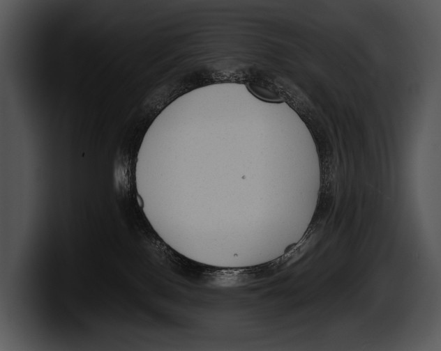 X0000100190090200806201303