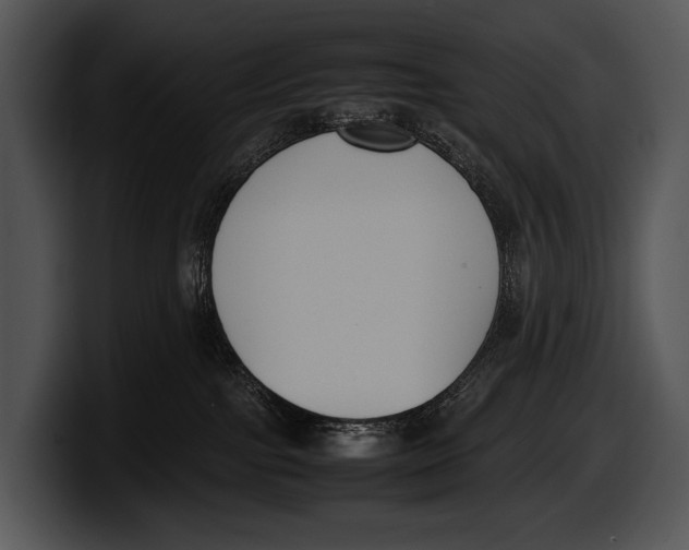 X0000100190091200806201303