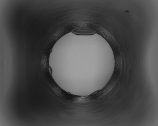 X0000100190092200806201303