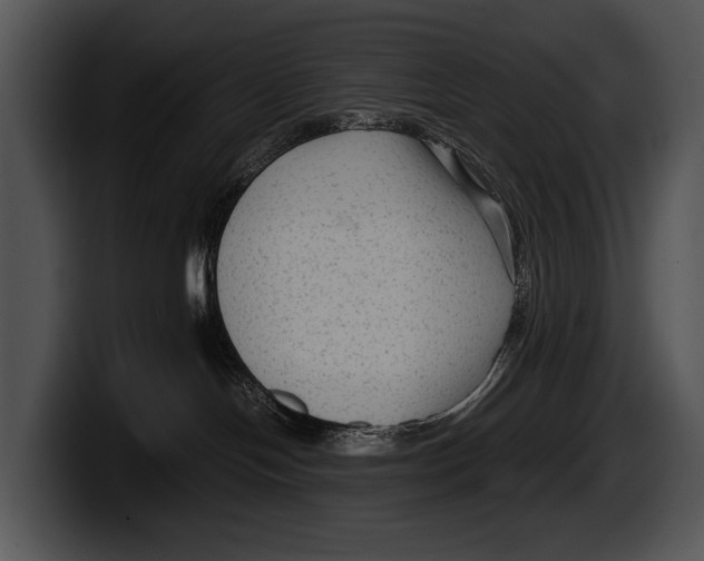 X0000100190094200806201303