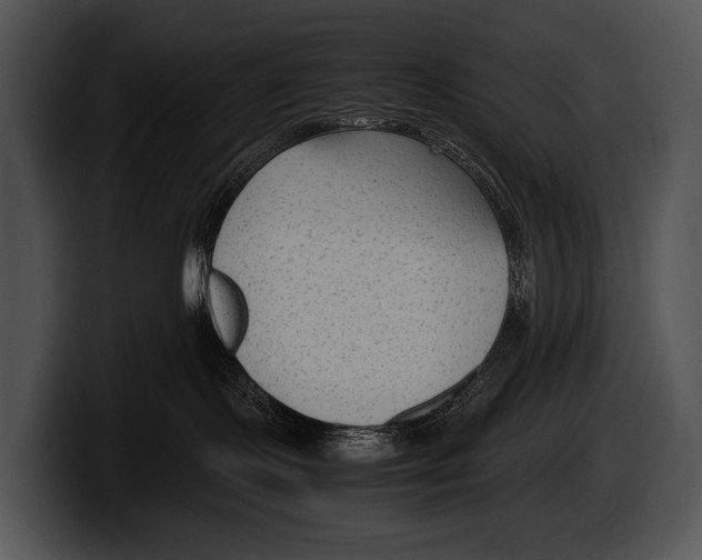 X0000100190095200806201303