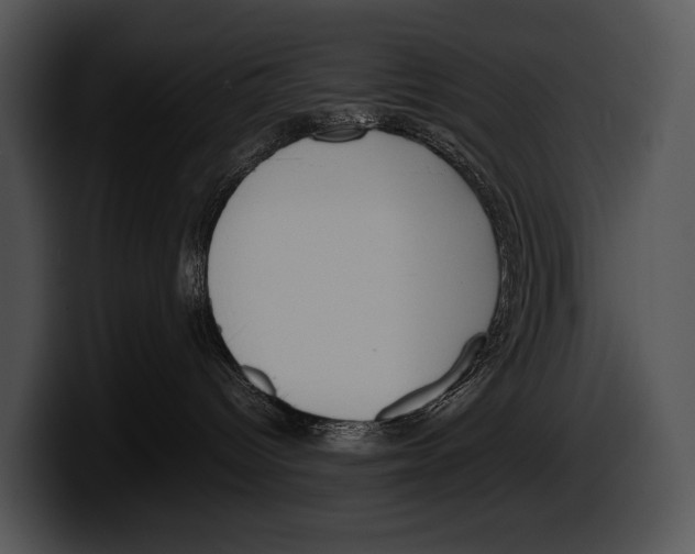X0000100190096200806201303