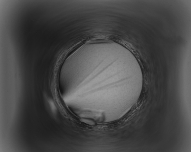 X0000100190097200806201303