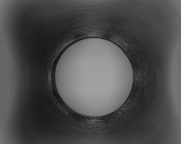 X0000100190098200806201303