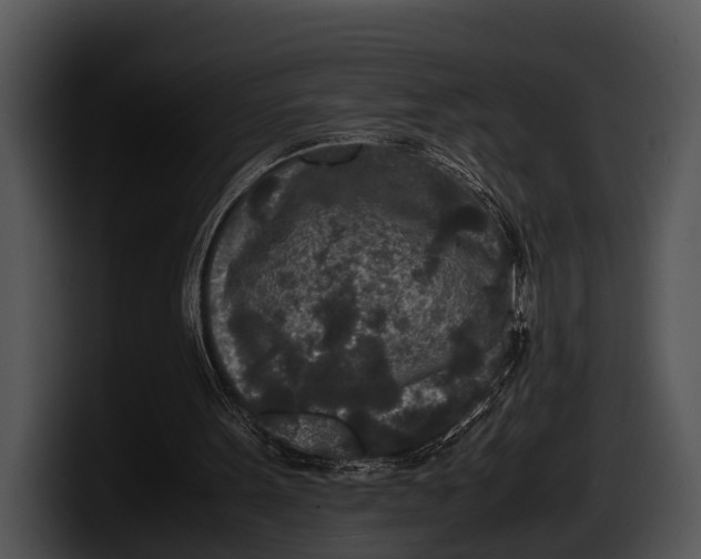 X0000100190099200806201303
