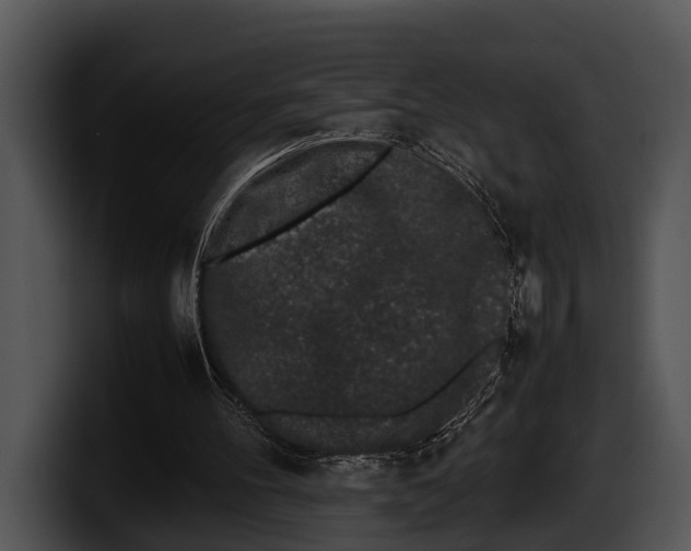 X0000100190100200806201303