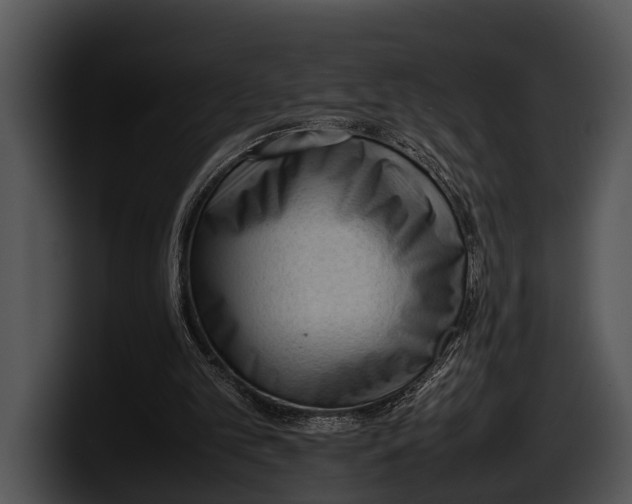 X0000100190101200806201302