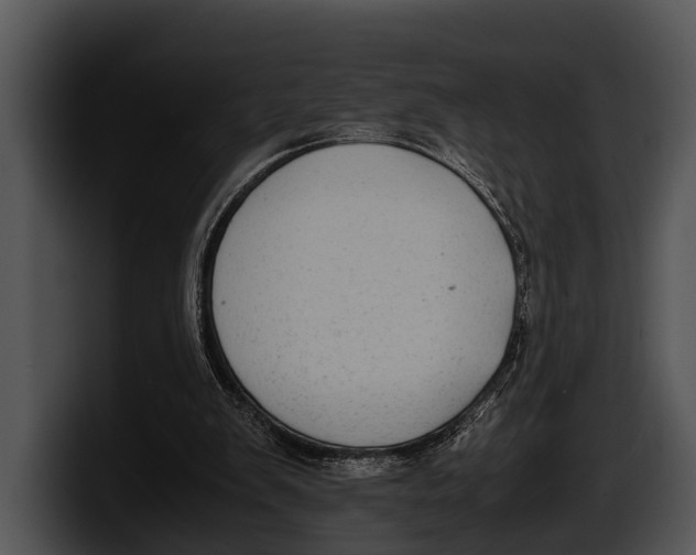 X0000100190103200806201302