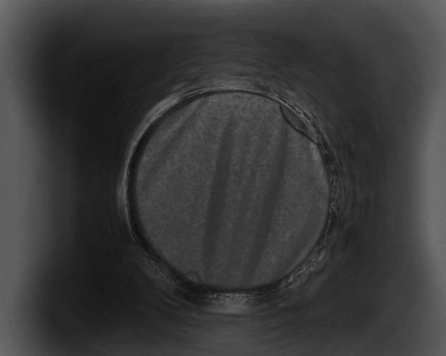 X0000100190104200806201302