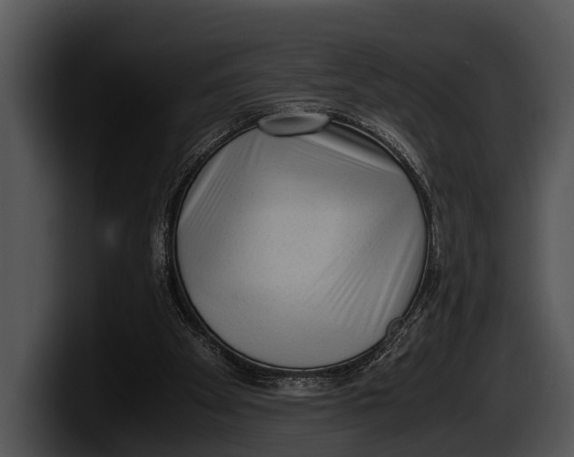 X0000100190105200806201302