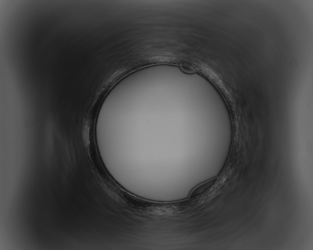 X0000100190106200806201302