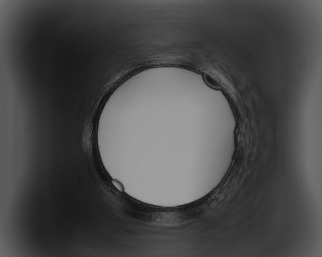 X0000100190107200806201302