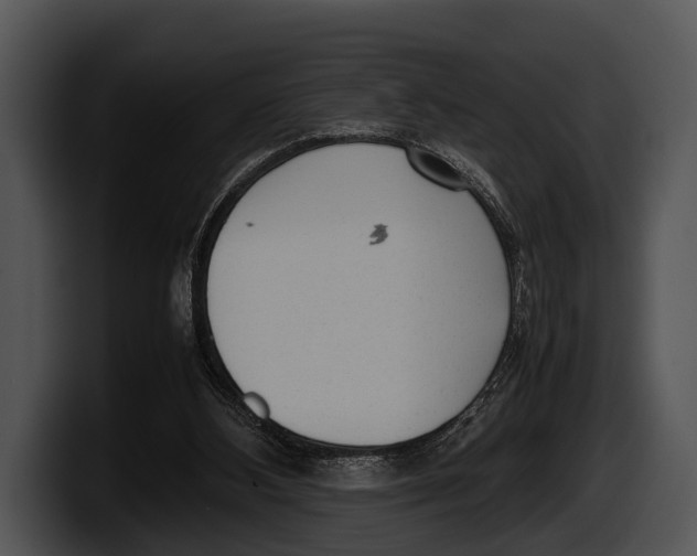 X0000100190108200806201302