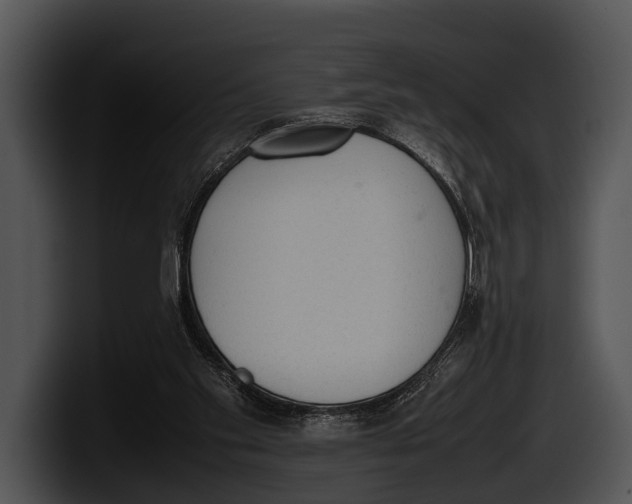 X0000100190109200806201302