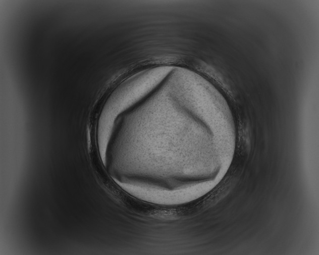 X0000100190110200806201302