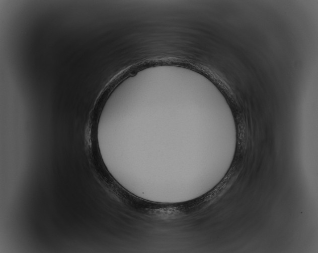 X0000100190112200806201302
