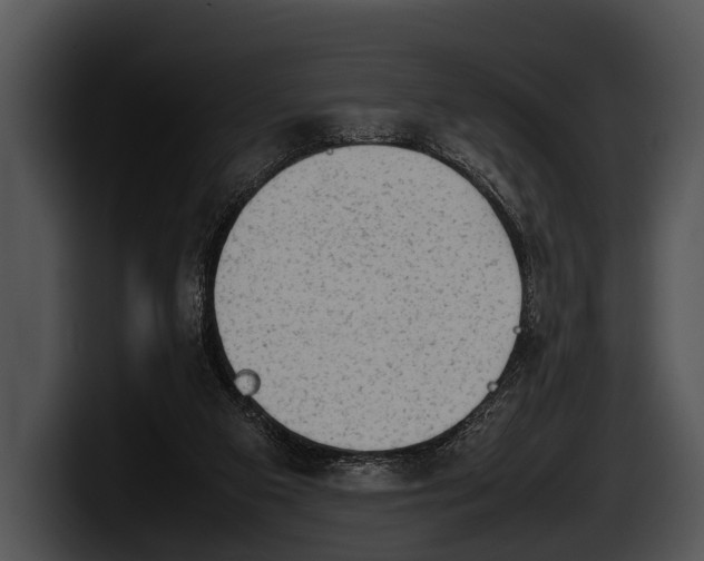 X0000100190113200806201302