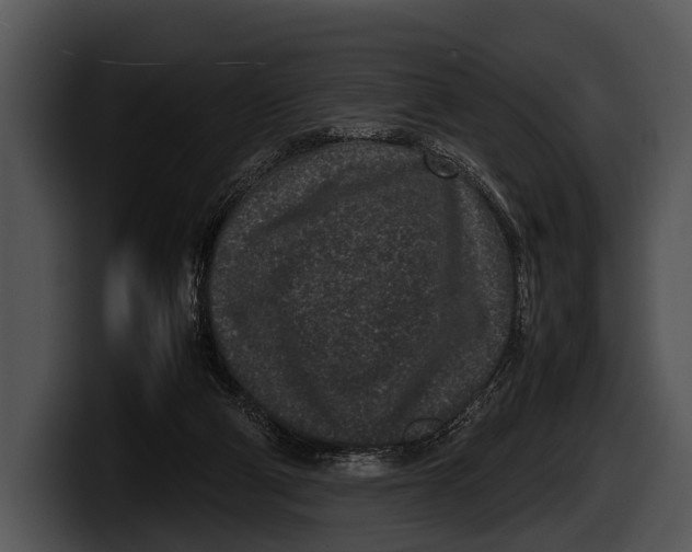 X0000100190114200806201302