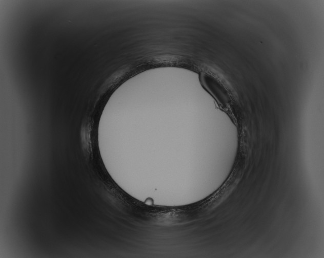 X0000100190116200806201302