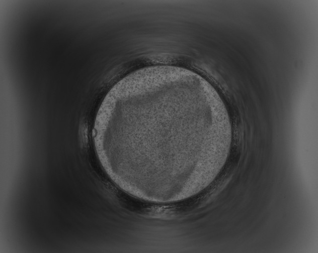 X0000100190117200806201302