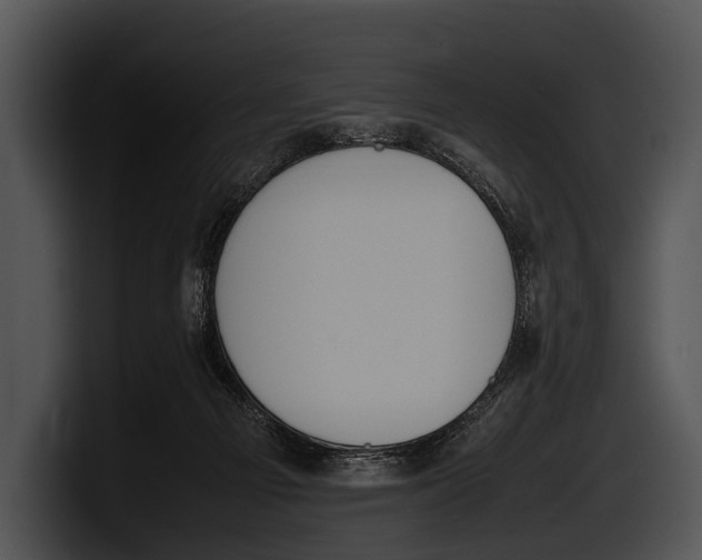 X0000100190121200806201302