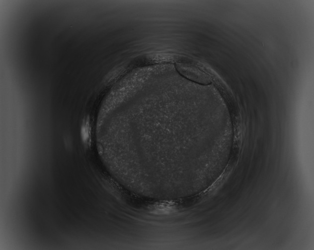 X0000100190124200806201302