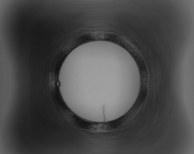 X0000100190125200806201302
