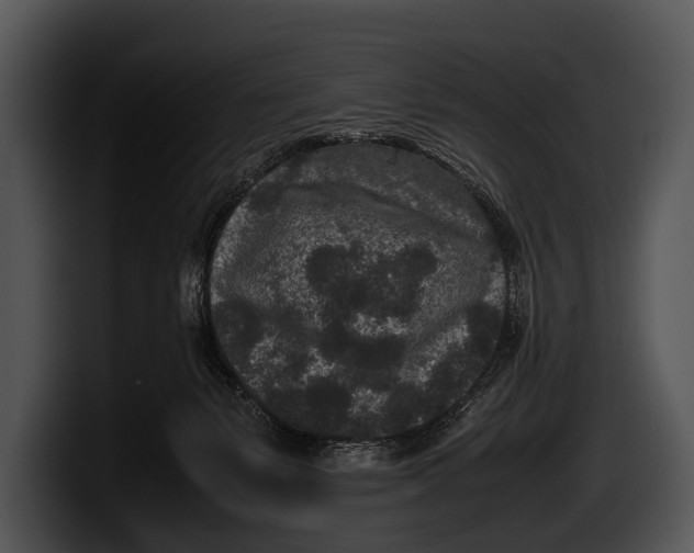 X0000100190127200806201302