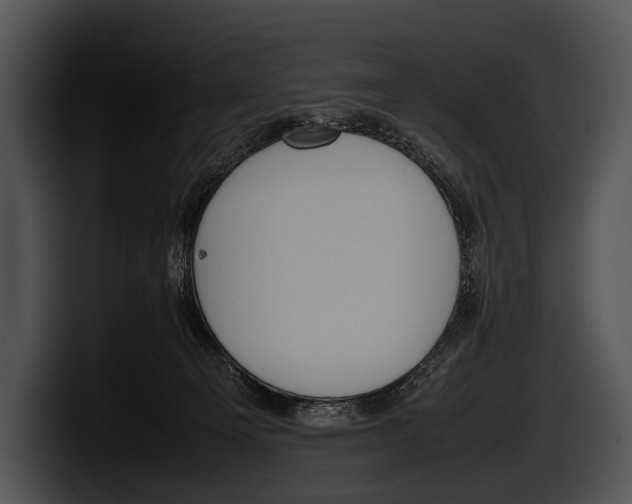 X0000100190129200806201302