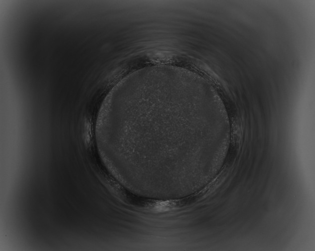 X0000100190130200806201302
