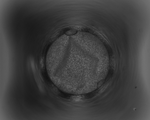 X0000100190131200806201302