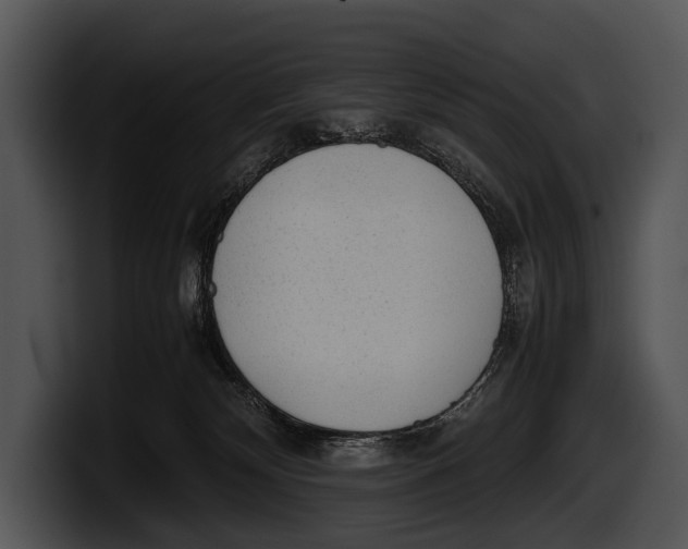 X0000100190132200806201302