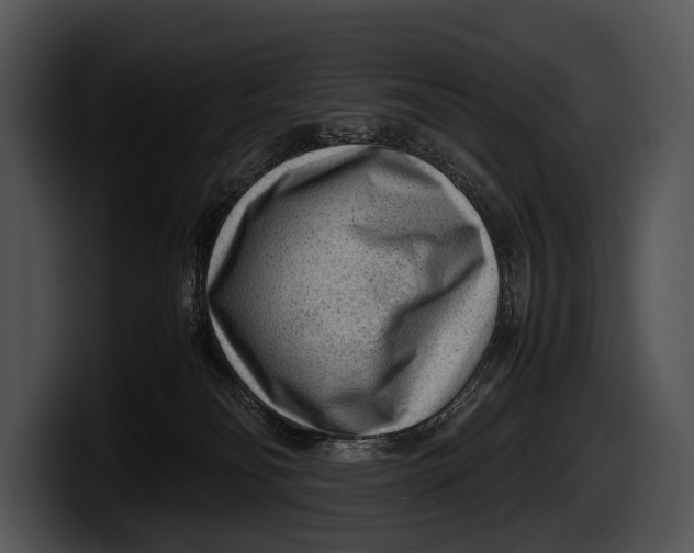 X0000100190134200806201302