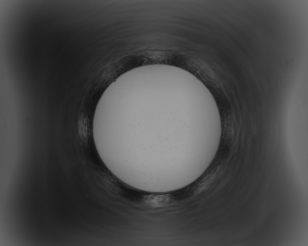 X0000100190135200806201302