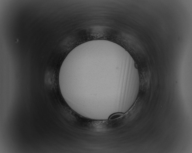 X0000100190136200806201302