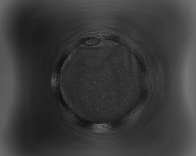 X0000100190137200806201302