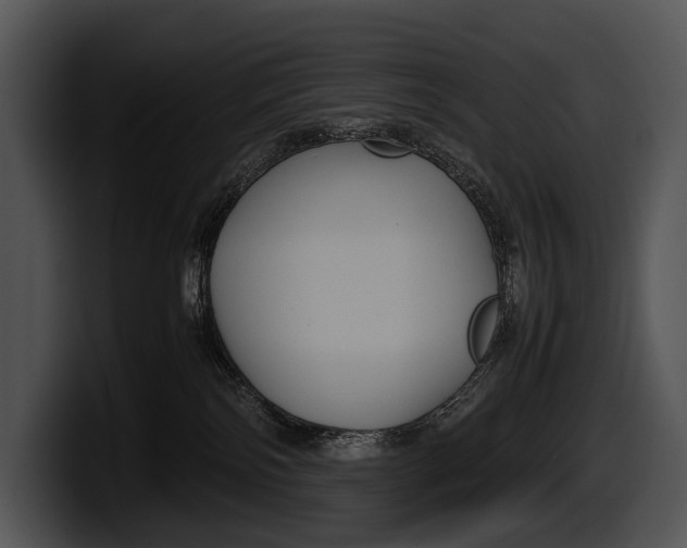 X0000100190138200806201302
