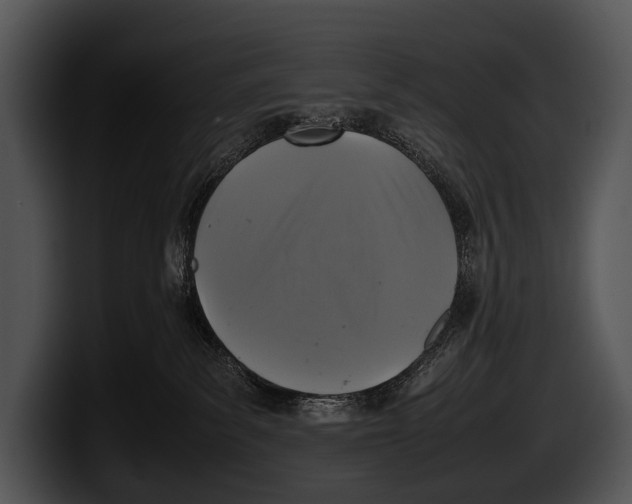 X0000100190139200806201302