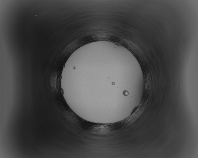 X0000100190140200806201302