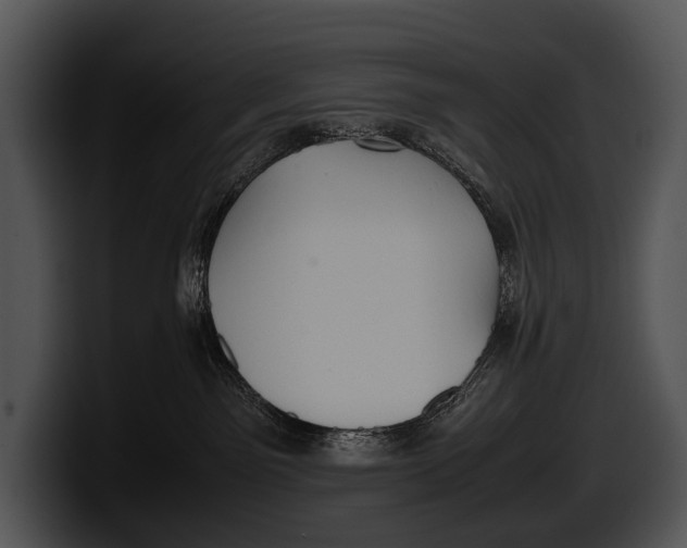 X0000100190141200806201302