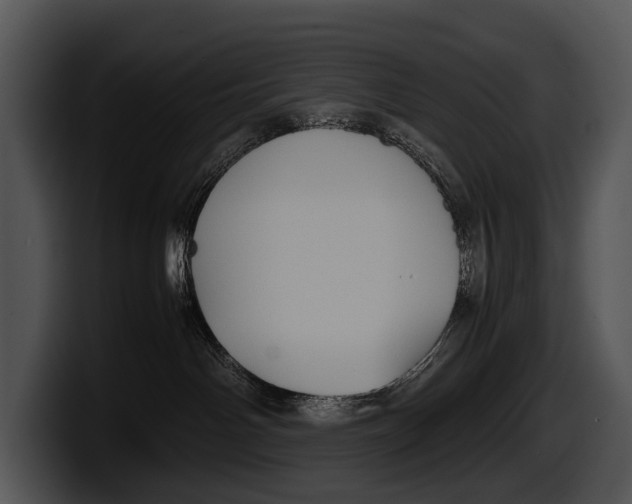X0000100190142200806201302