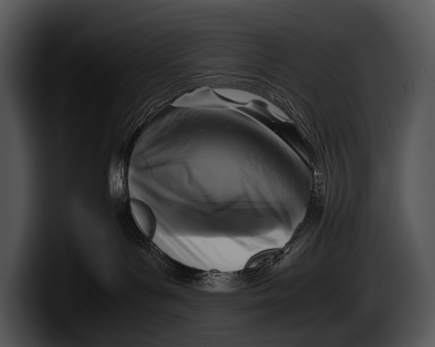 X0000100190143200806201302