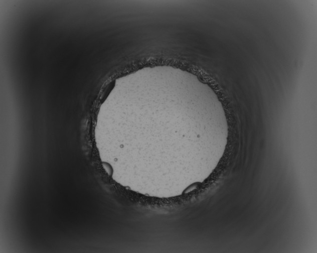 X0000100190144200806201302